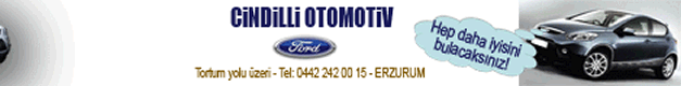 ford ercihan otomotiv