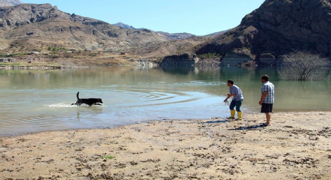 Balıkçı köpek sahibine günlük 2 kg balık yakalıyor