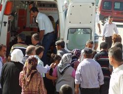 Köy minibüsü devrildi: 16 yaralı