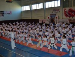 Karatecilere gelişim daveti