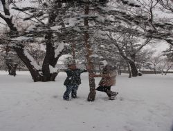 Erzurum da Okullara kar tatili