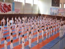 300 karateci eğitim aldı