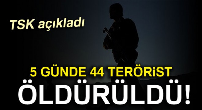 5 günde 44 terörist öldürüldü!