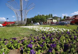 Erzurum’a 500 bin çiçek fidesi dikildi