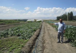Erzurumlu sebze üreticilerinden sitem