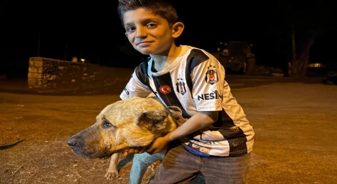 Ayıların saldırısına uğrayan çocuğu çoban köpeği kurtardı