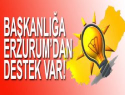 Erzurum dan Başkanlık sistemine destek!