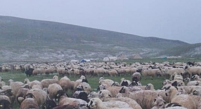 Çobanlar yaylada mahsur kaldı