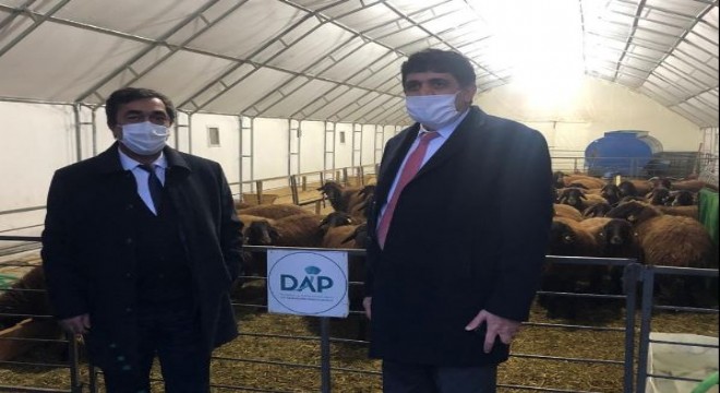Demirdöğen, DAP destekli yatırımları inceledi