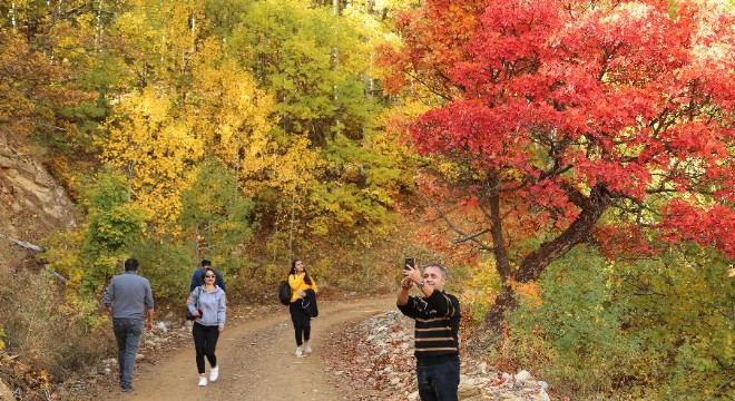 Doğu Anadolu’da sonbaharla gelen  Renk Cümbüşü 