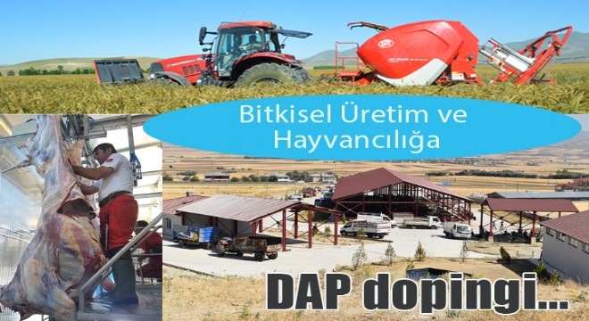Doğu Anadolu ekonomisinde DAP sinerjisi