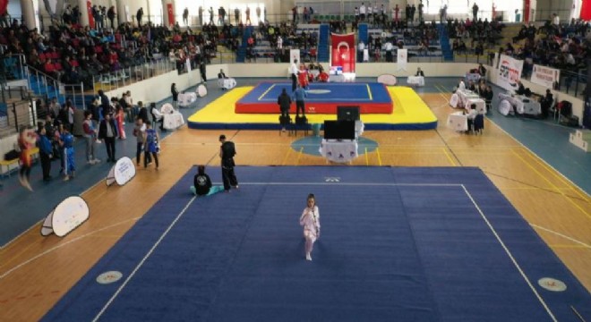 ETÜ Türkiye Üniversiteler Wushu Şampiyonasında