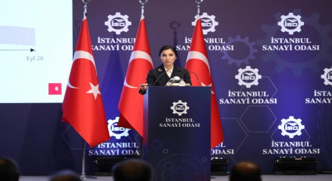 Erkan:  Türk Lirasına geçiş başlamıştır 
