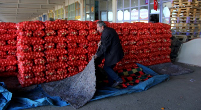 Erzurum Halinde meyve ve sebzeler dondu