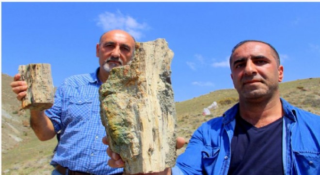 Erzurum'da 160 milyon yıllık fosil bulundu