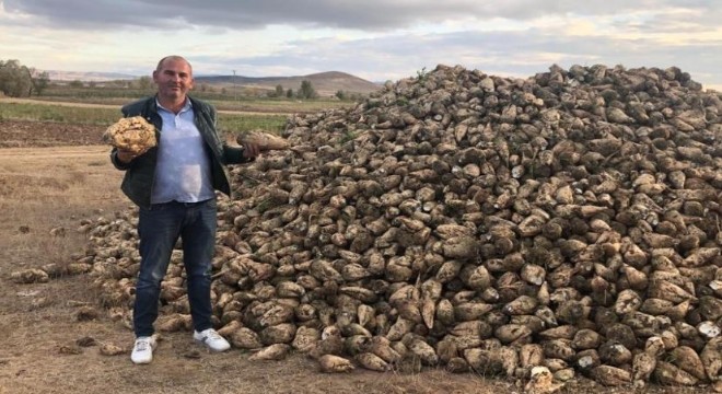Erzurum ve Erzincan'da şeker pancarı hasadı başladı