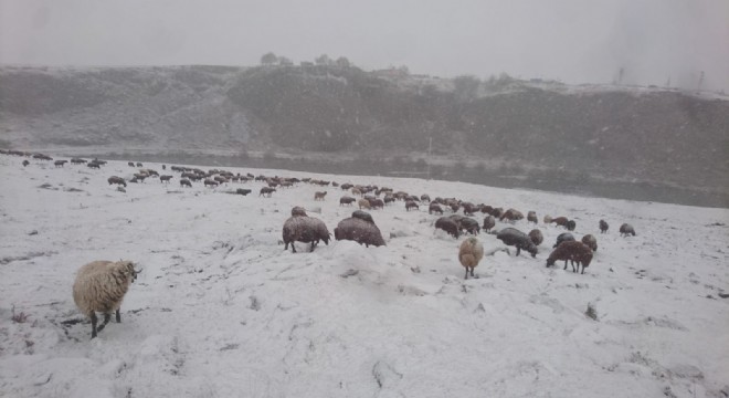 Kar yağışı çobanları zor durumda bıraktı