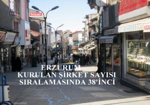 Erzurum da 4 ayda 59 şirket kuruldu