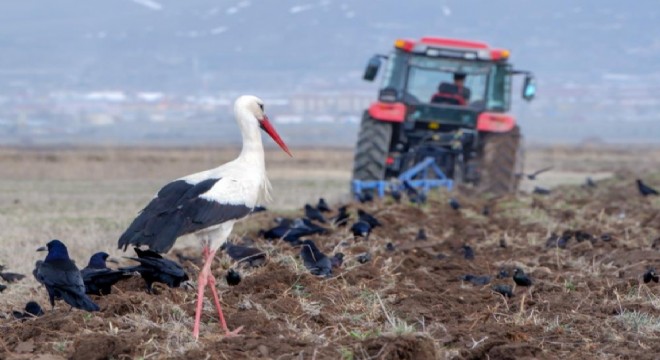 Meteorolojiden zirai don uyarısı