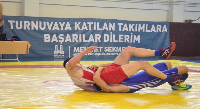 Türkiye Serbest Güreş Grup Müsabakaları tamamlandı