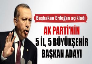 Erdoğan 10 ilin adaylarını açıkladı