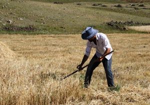 Erzurum da Çiftçi destekleme ödemeleri başladı