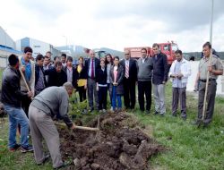 Erzurum’dan Sarıkamış’a ağaçlandırma desteği