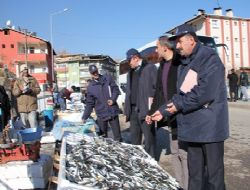 Halk pazarında balık denetimi