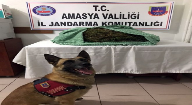 9 kiloluk uyuşturucu bohçasını ‘Atak’ yakalattı