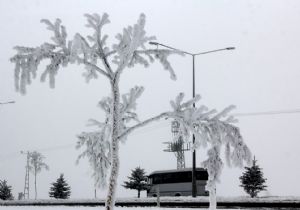 Erzurum’da kırağı tablosu