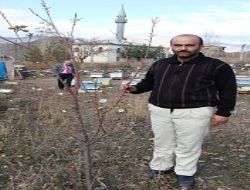 Ağaçlar mevsimleri şaşırdı