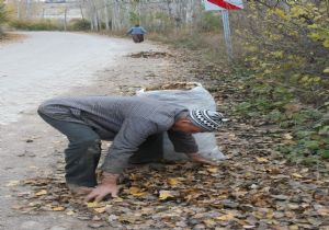 Gazellerle ısınıyorlar