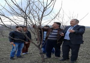 Çiftçilere uygulamalı budama eğitimi verildi