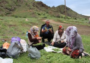 Oltu’da çaşır zamanı