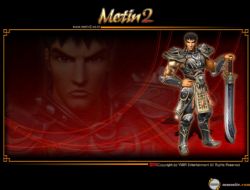  Metin-2 yasaklandı