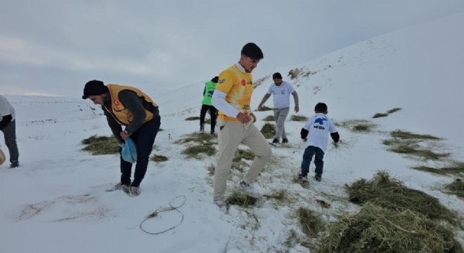 Aktivistlerden yaban yaşamına destek