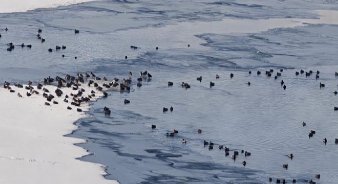 Aşkale HES Göleti buz tuttu