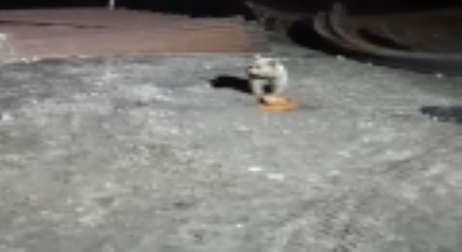 Bayburt'ta köpeklerin kovaladığı ayı yemeğini bırakmadı