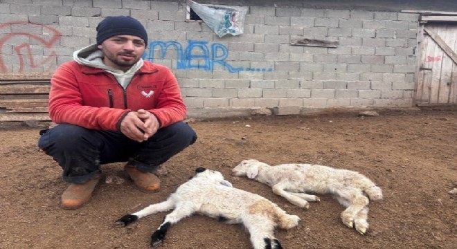 Besiciler tedirgin oldu