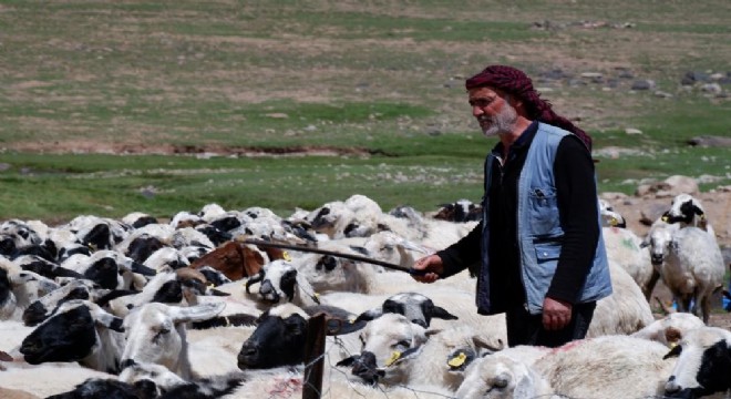 Besicilere destek verileri açıklandı