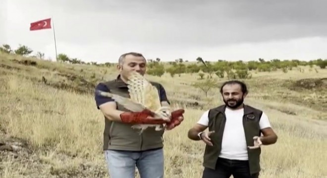 DKMP dan yaban yaşamı hassasiyeti