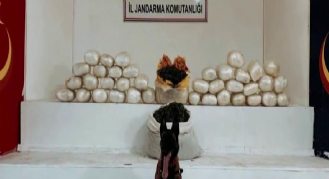 Diyarbakır’da 470 kilo skunk ve 85 kilo esrar ele geçirildi