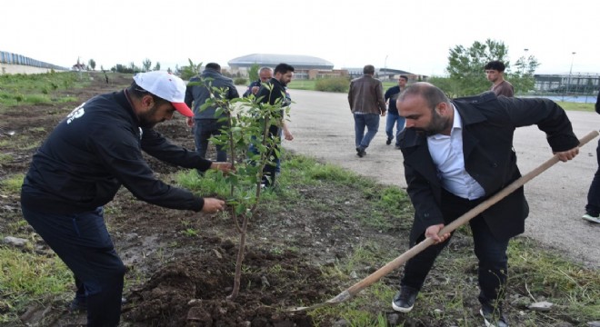 Erzurum GSİM den Milli Ağaçlandırma Projesi