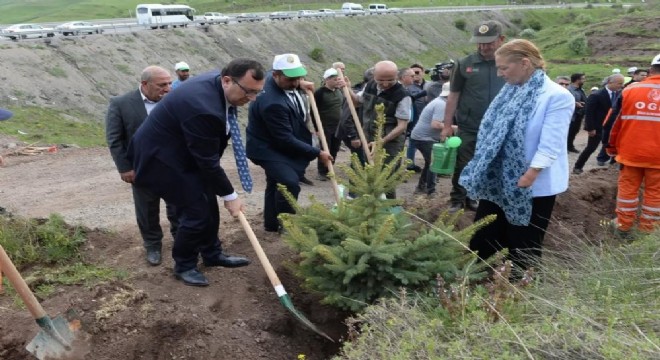 Erzurum'da 105 bin fidan toprakla buluştu