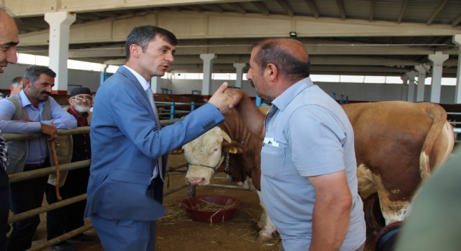 Erzurum hayvan pazarında hareketlilik