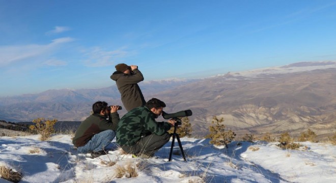Erzurum yaban hayvanları popülasyonu mercek altında