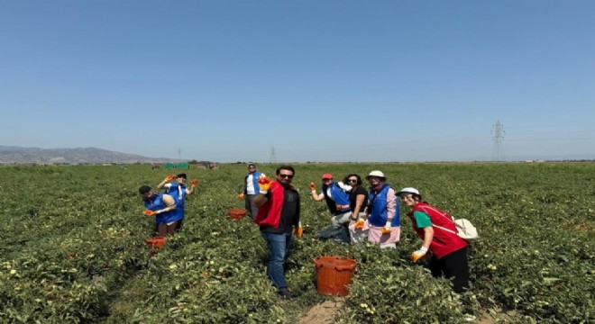 Gönüllü Hasat Etkinliği 2026 yılı takvimi açıklandı