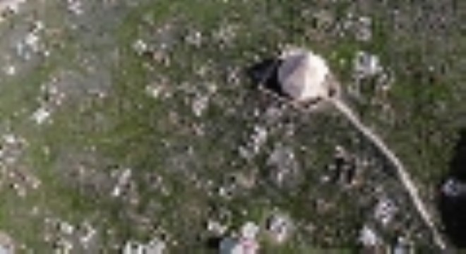 Hacı Kutlu Bey’in türbesi tarihe ışık tuttu
