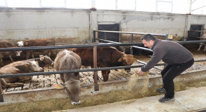 Hocaoğlu girişimciliğiyle örnek oldu