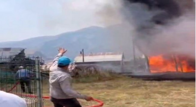 İspir'de ormanlık alanda yangın